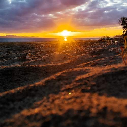 Photo #11519010