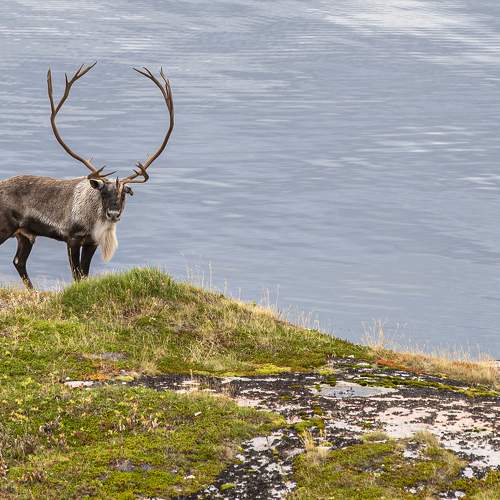 Photo #11519231
