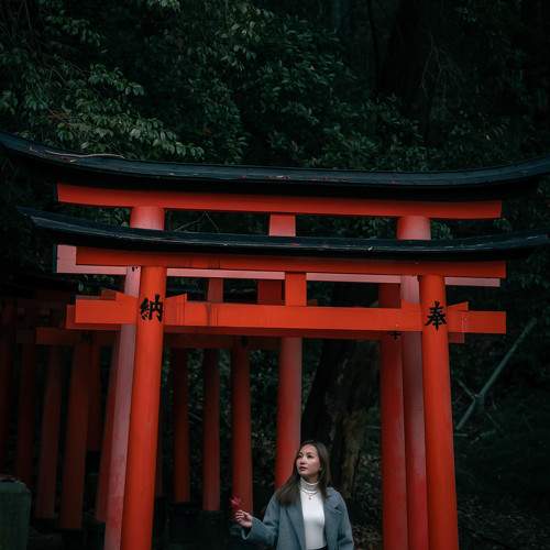Photo #11519233