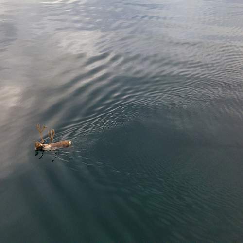 Photo #11519240