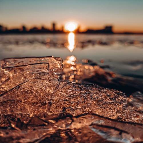 Photo #11519368