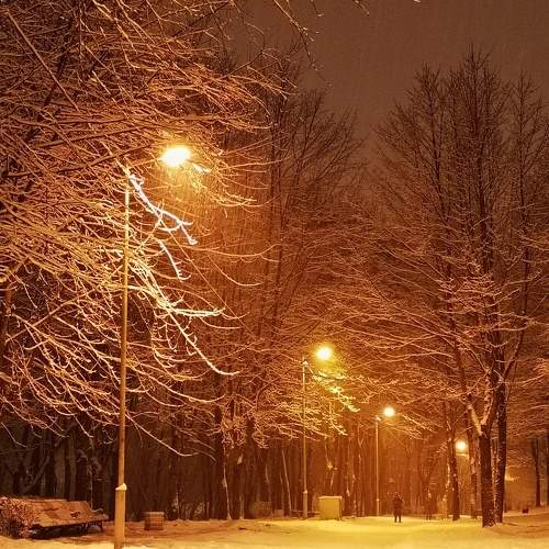 Photo #11519395