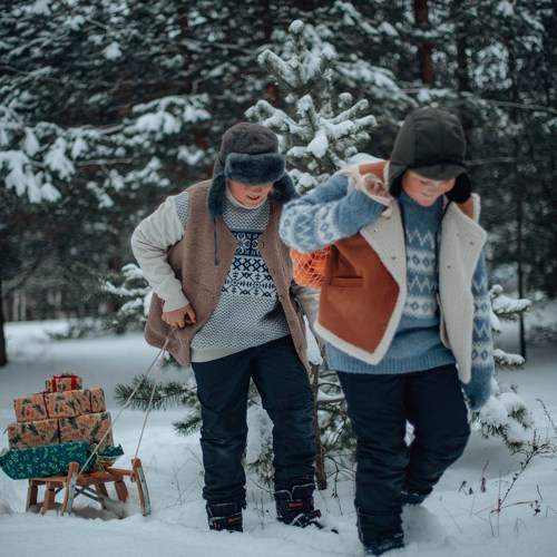 Photo #11519431