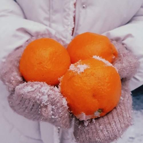 Photo #11519769