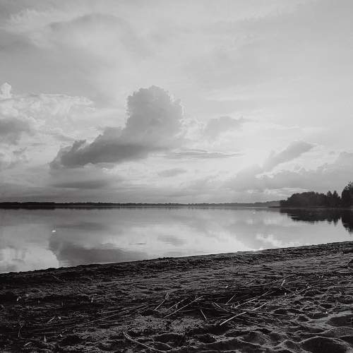 Photo #11520246