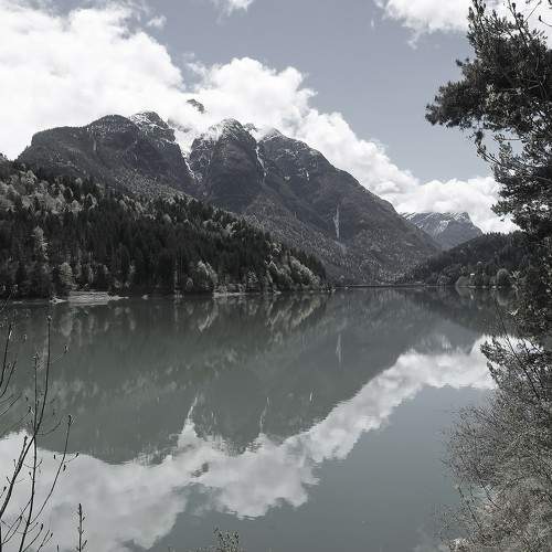 Photo #11520422