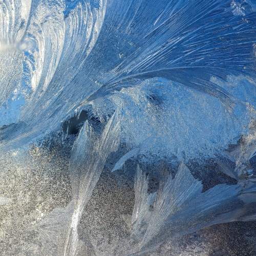 Photo #11520649