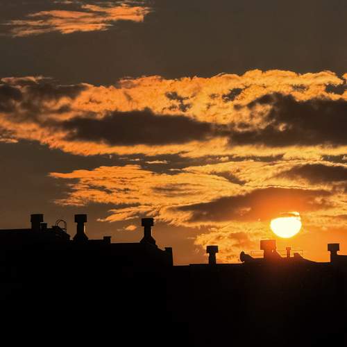 Photo #11520894