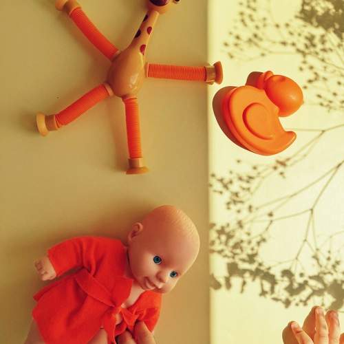 Photo #11520896