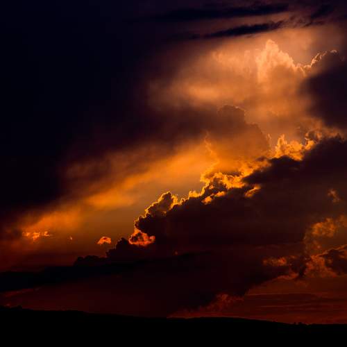 Photo #11521158