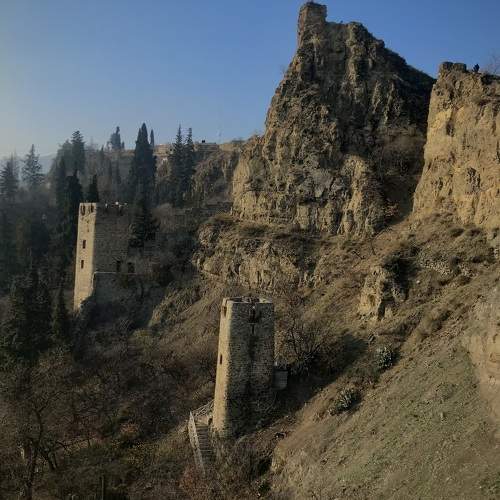 Photo #11521378