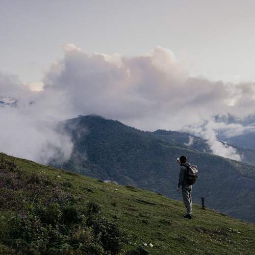 Photo #11521841