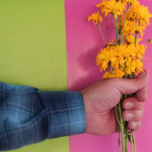 Photo #11522525