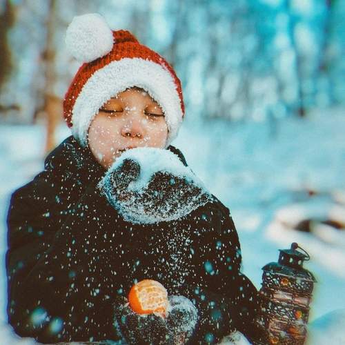Photo #11522643
