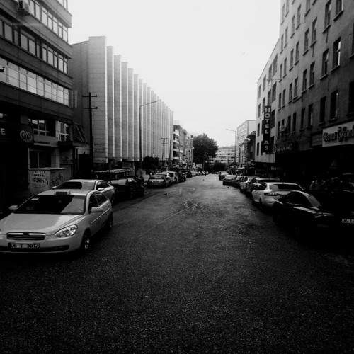 Photo #11523117
