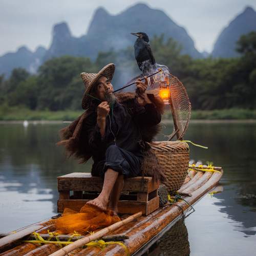 Photo #11523204