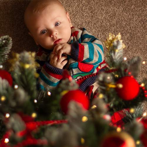 Photo #11523387