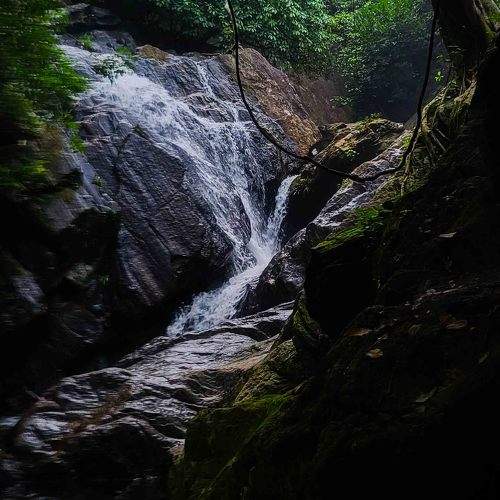 Photo #11523483