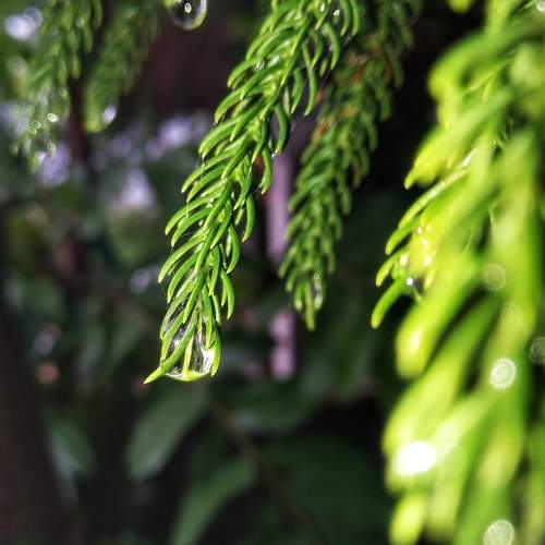 Photo #11523661