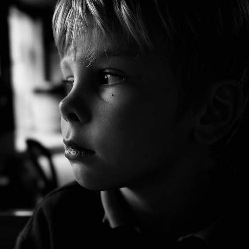 Photo #11524085