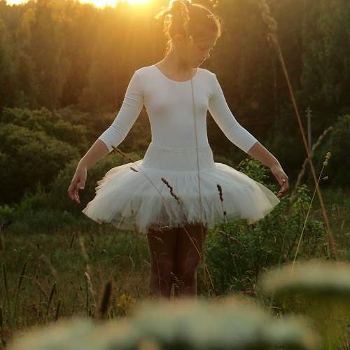 Photo #11524644