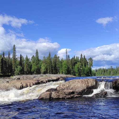 Photo #11524981