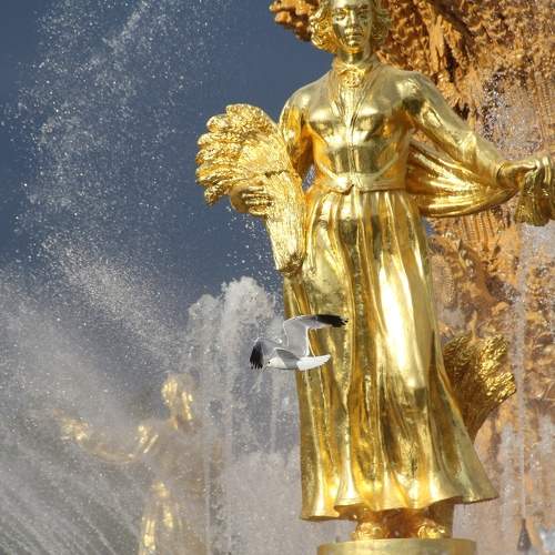 Photo #11525827