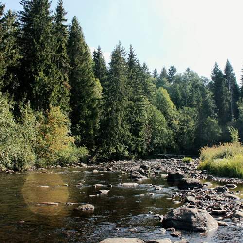 Photo #11526062