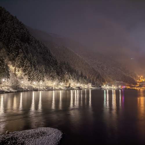 Photo #11526078