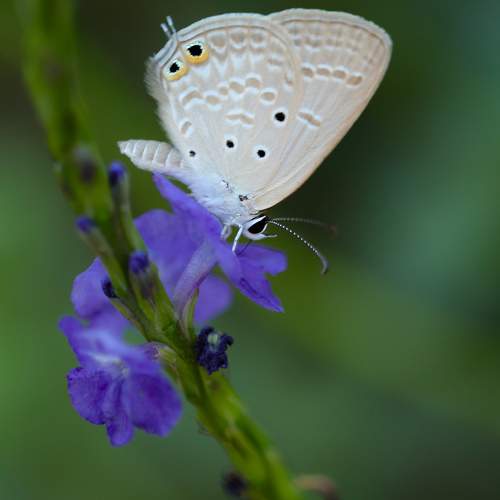 Photo #11526222