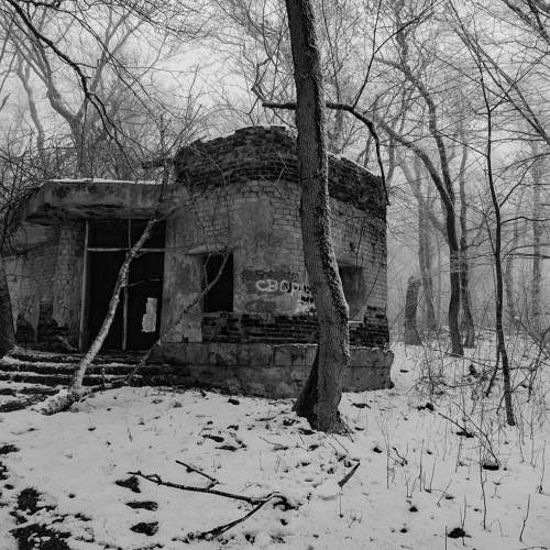 Photo #11526374