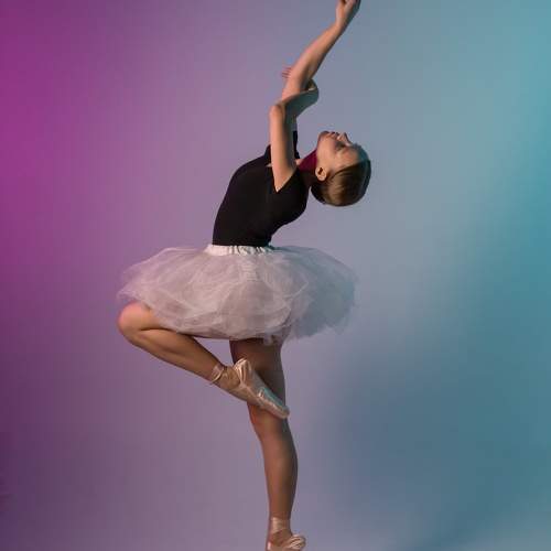 Photo #11526780