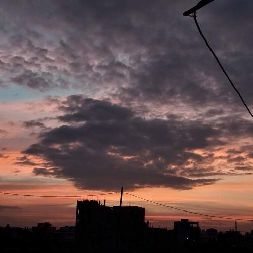 Photo #11527164