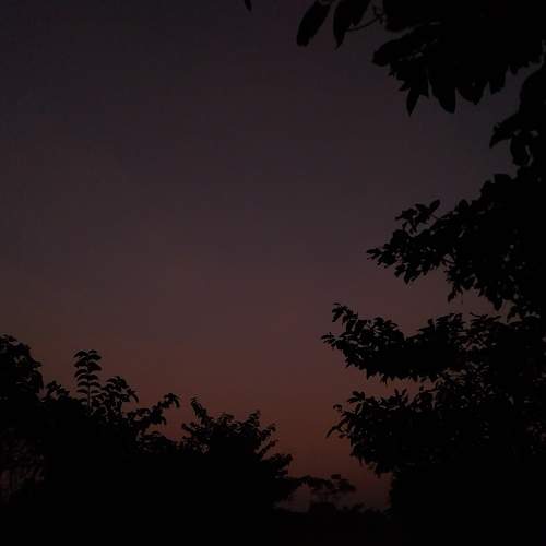 Photo #11527165