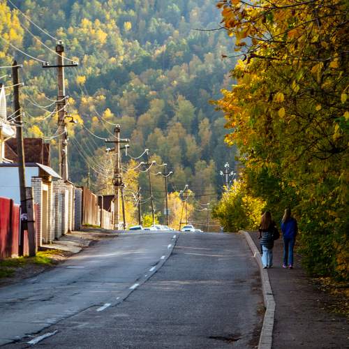 Photo #11527836