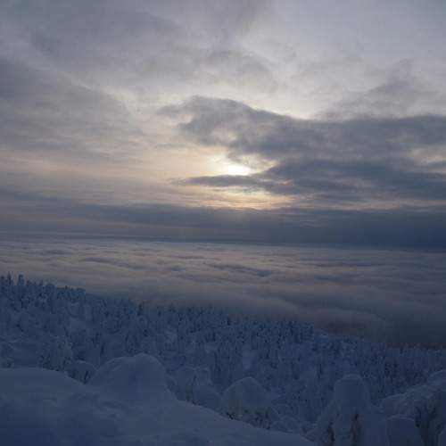 Photo #11528303