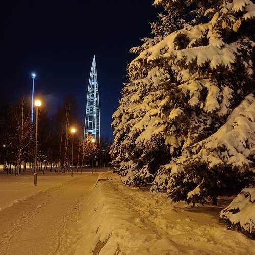 Photo #11528506