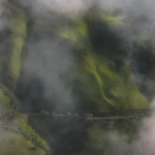 Photo #11528566