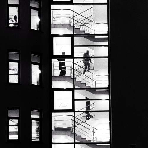 Фотография #11528683