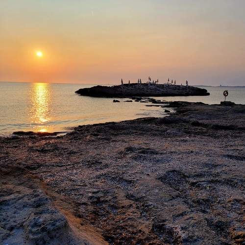 Photo #11528755