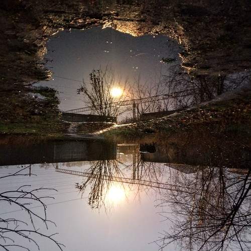 Photo #11528758