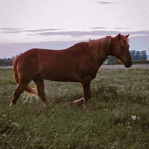 Photo #11528889