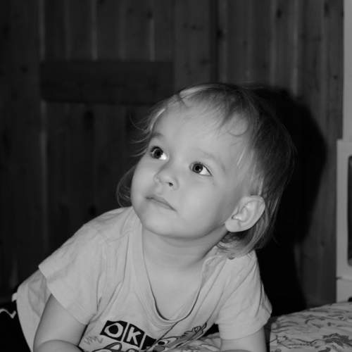 Photo #11529630