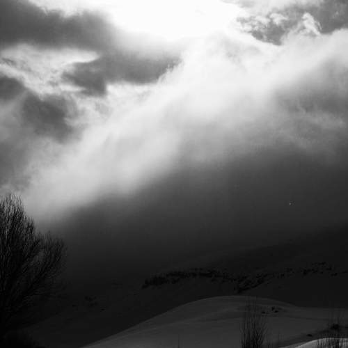 Photo #11529669
