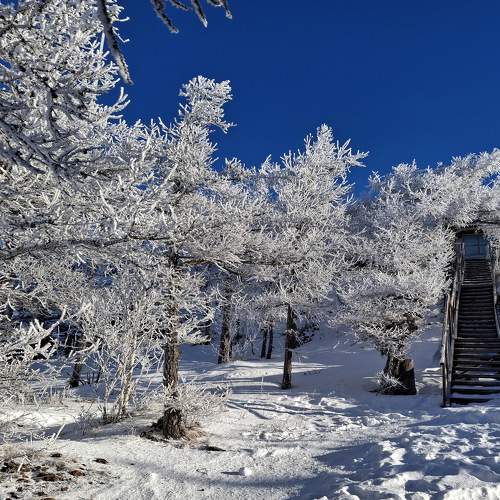 Photo #11529908