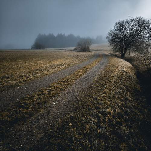 Photo #11530095