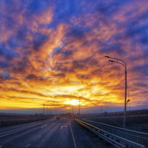 Photo #11530449