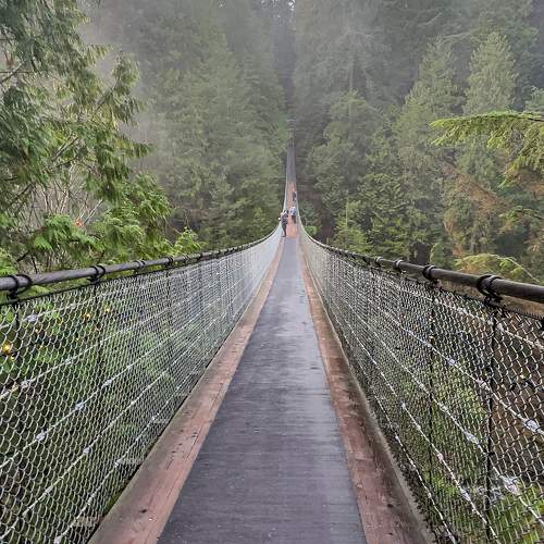 Photo #11530615