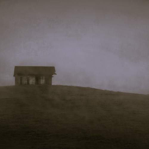 Photo #11530628