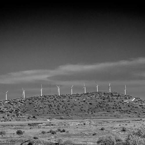 Photo #11530743